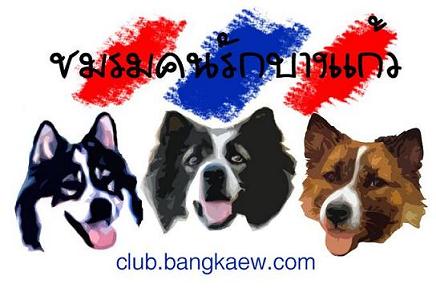 http://www.bangkaew.com/clubx/dog_copy.jpg