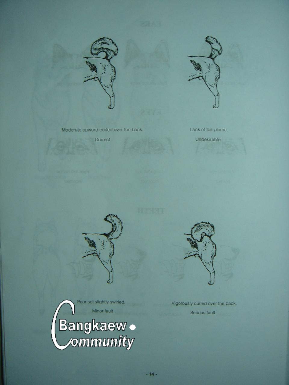 http://www.bangkaew.com/elearning/Standard/DSC00229.JPG