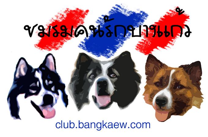 http://www.bangkaew.com/elearning/file.php/1/moddata/forum/1/6331/dog_copy.jpg
