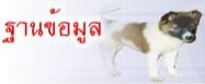 http://library.psru.ac.th/bangkaew/