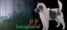 http://www.geocities.com/k89bangkaew