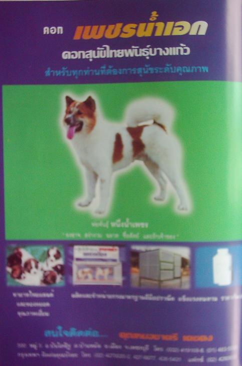 http://www.bangkaew.com/petnam-ek/index_image001.jpg