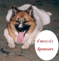  Sponsor